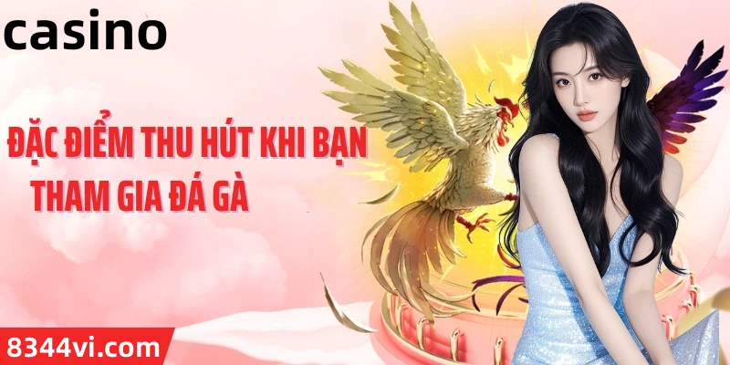 Hình ảnh quảng cáo của rwin hiển thị nền tảng và các lợi ích